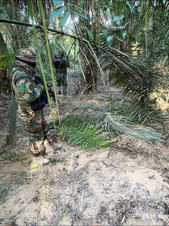 Después de un trabajo de inteligencia realizado por el GIOE-Amazonia.